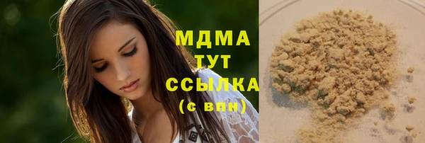 гидра Карпинск