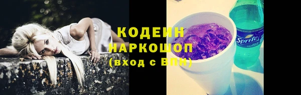 гидра Карпинск