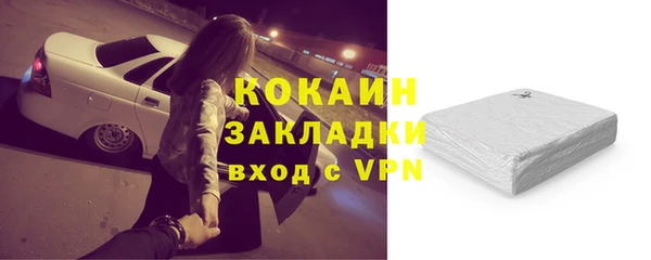 гидра Карпинск