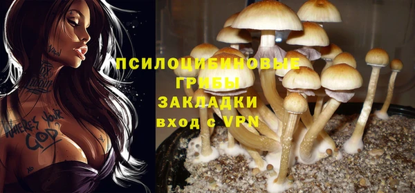 ешки Кинешма