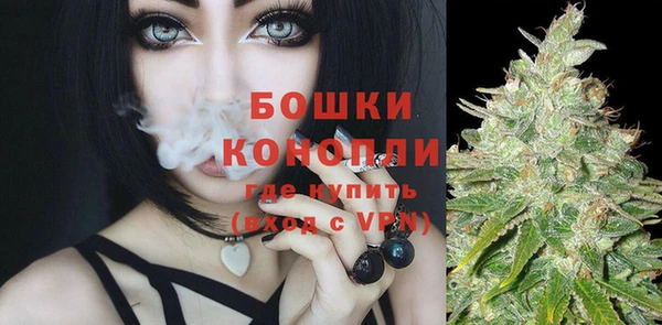 мдпв Касимов