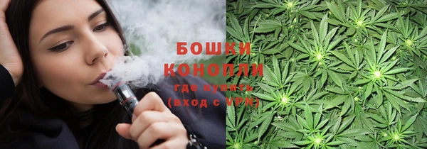 мдпв Касимов