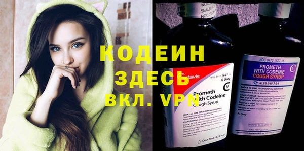 гидра Карпинск
