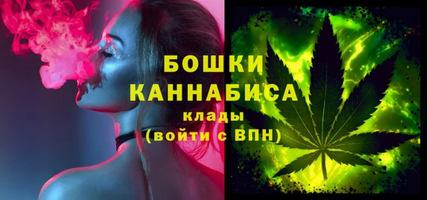 гидра Карпинск